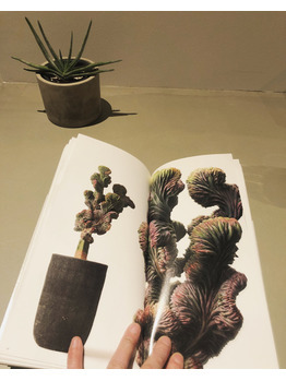 おすすめＢＯＯＫ☆_20180315_3